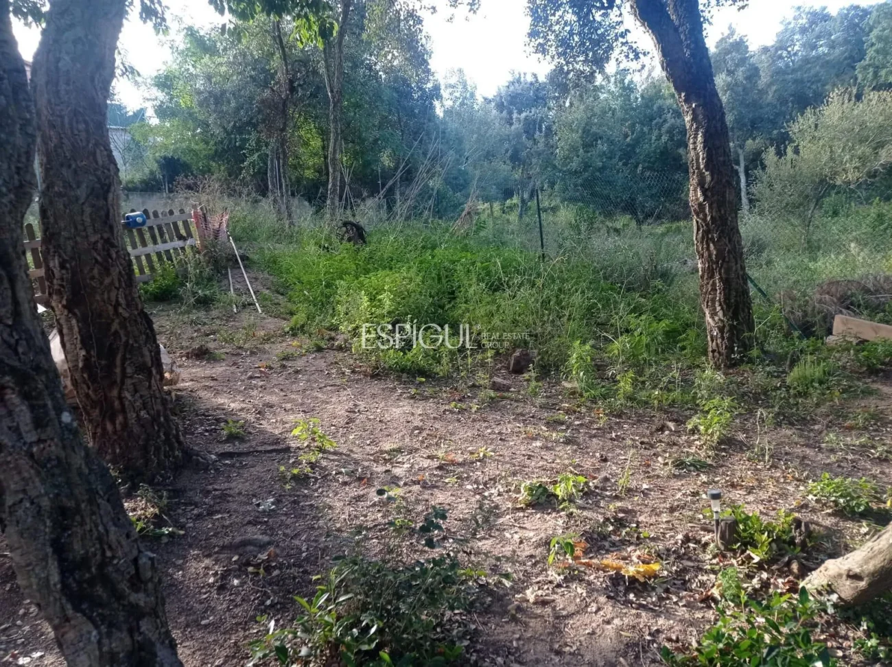 Plot and Wooden House in Can Fornaca De Riudarenes