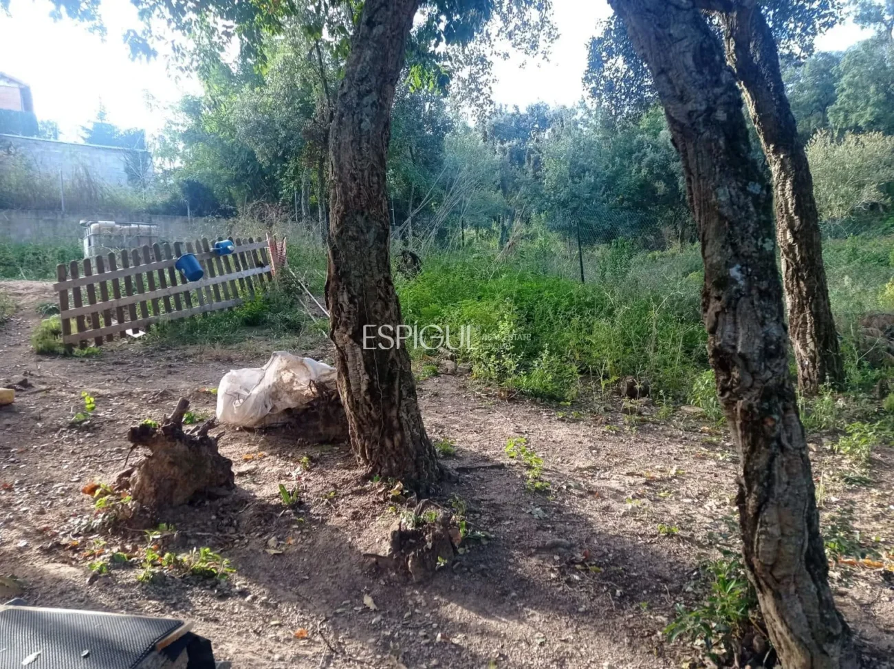 Plot and Wooden House in Can Fornaca De Riudarenes