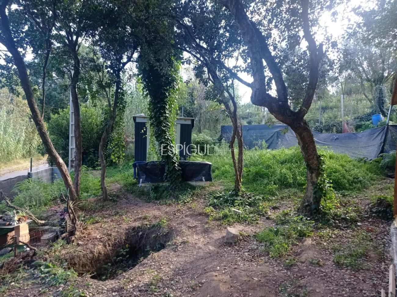 Plot and Wooden House in Can Fornaca De Riudarenes