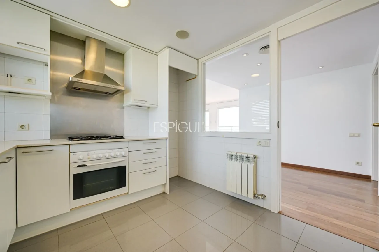 Ático en venta en Finestrelles, Esplugues de Llobregat