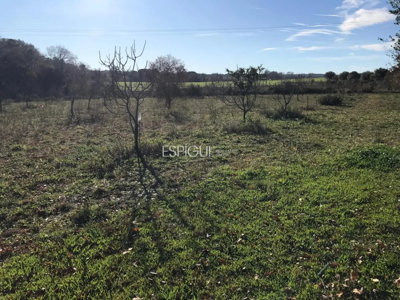 Parcel·la d’ús agrícola a Vilamalla