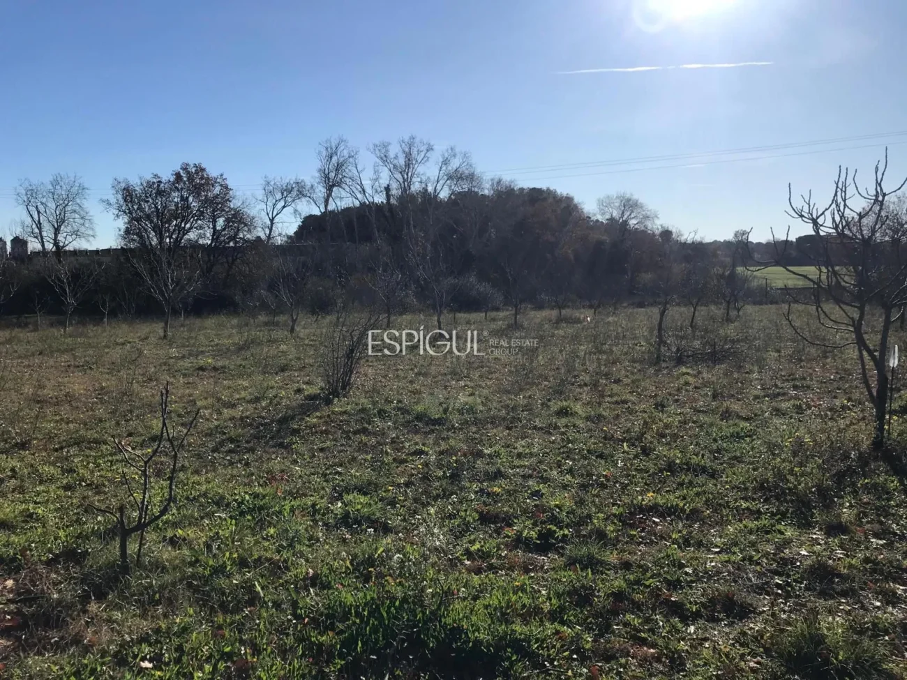 Parcel·la d’ús agrícola a Vilamalla