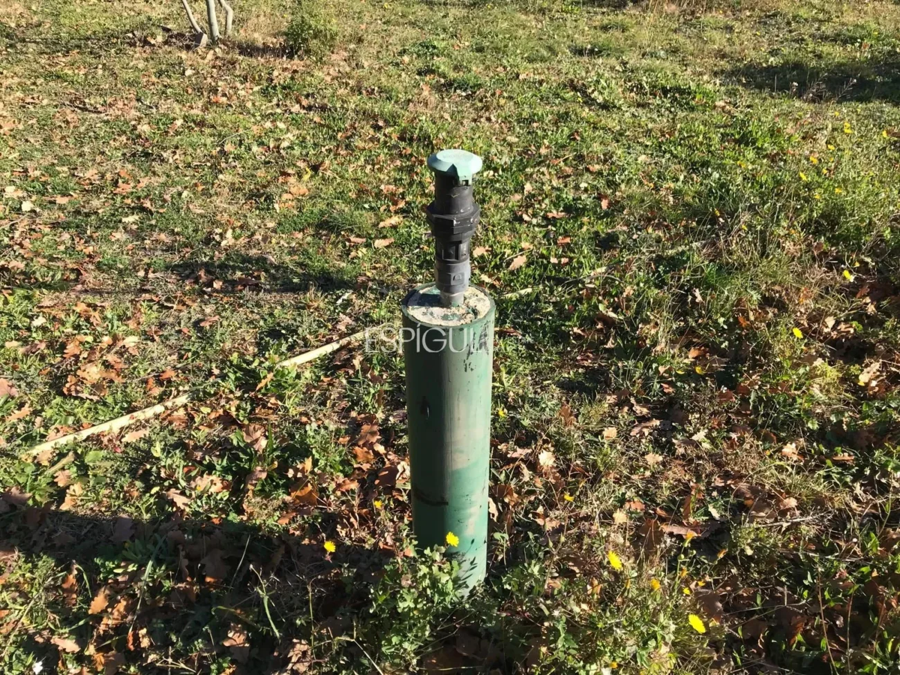 Parcel·la d’ús agrícola a Vilamalla