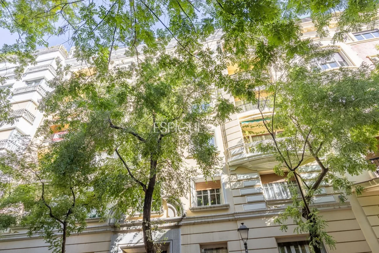 Pis en venda al carrer Ayala, Recoletos