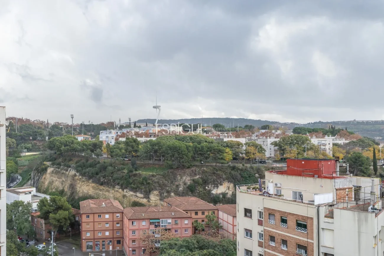 Àtic dúplex amb doble orientació i gran potencial
