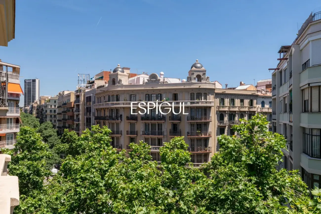Piso alto y luminoso en finca regia de l’Antiga Esquerra de l’ Eixample