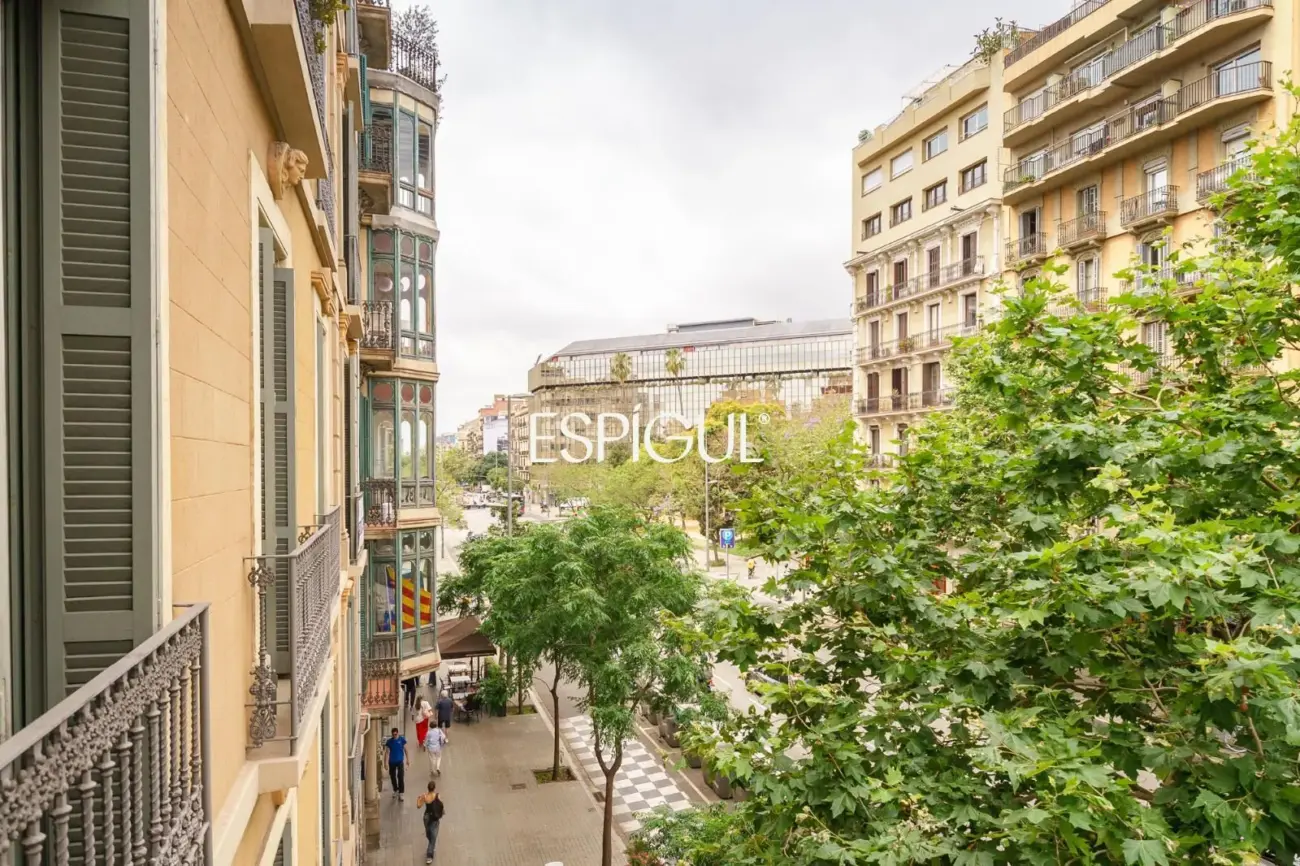 Piso muy luminoso y de diseño junto a Passeig de Gràcia